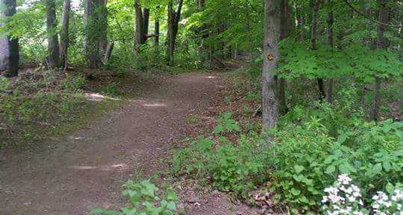 trail marker at MVB trail. Photo by Ann Scharoun