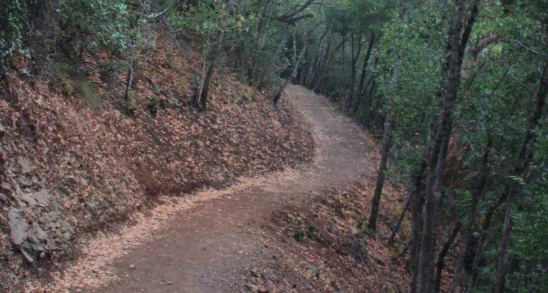 Bay Area Ridge Trail Sign