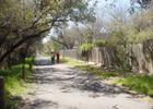 People walking on the Salado Creek Greenway North near Voelcker Trailhead. Photo by Brandon Ross