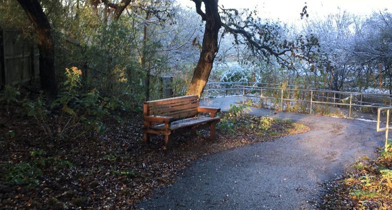 People walking on the Salado Creek Greenway North near Voelcker Trailhead. Photo by Brandon Ross