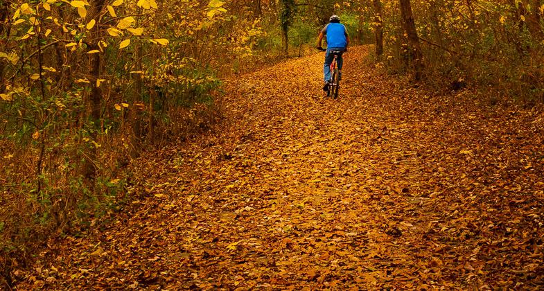 Evening light on Wilson's Creek. Photo by Allin Sorenson.