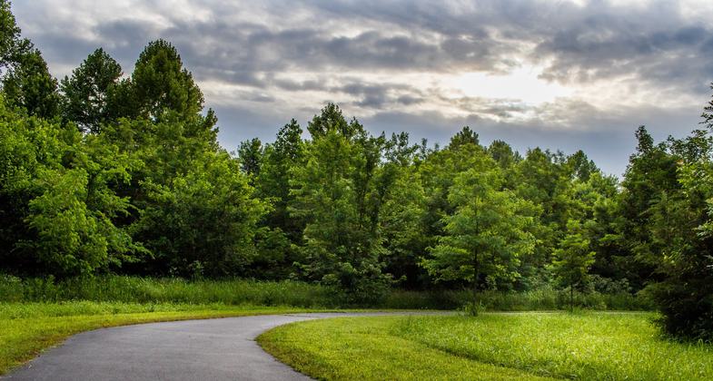 Evening light on Wilson's Creek. Photo by Allin Sorenson.