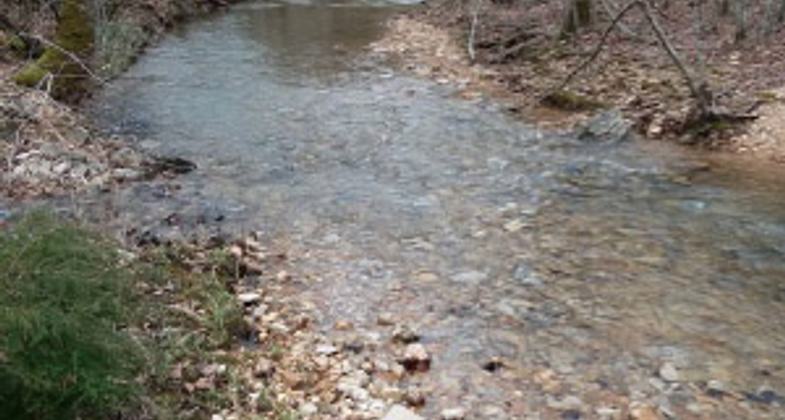 Ozark Trail - Round Springs Spur at Current River. Photo by Terry Hawn.