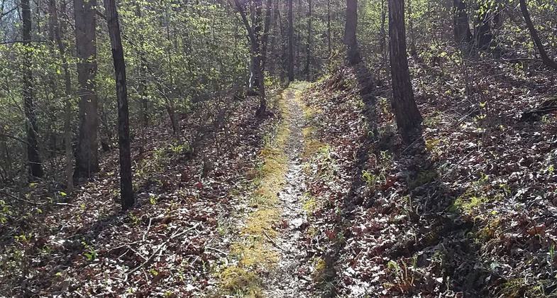 2020 NRT Photo Contest Winner -  Trail Work. Photo by Kathie Brennan.