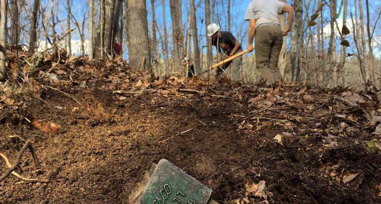 Current River along the Ozark Trail at Owls Bend