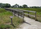 Boardwalk across freshwater marsh. Photo by U.S. Fish and Wildlife Service