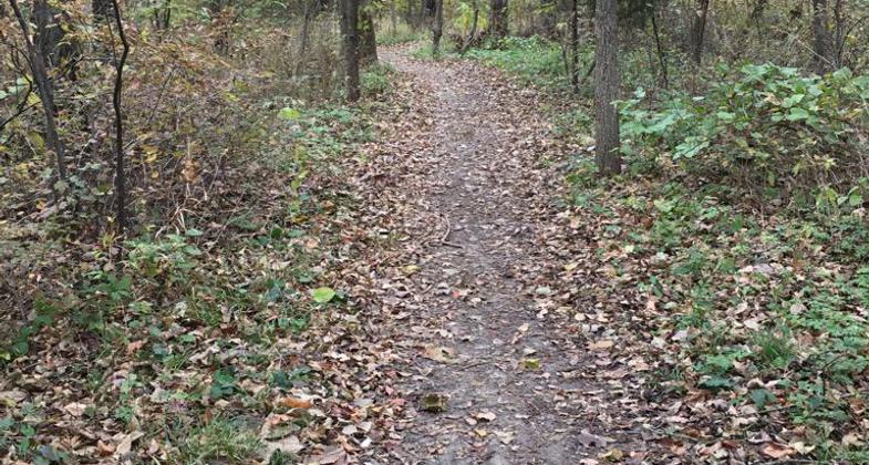 River Pond Trail at boat ramp