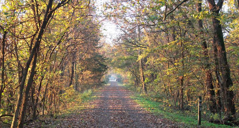 Prairie Spirit Trail in Fall. Photo by KDWPT staff