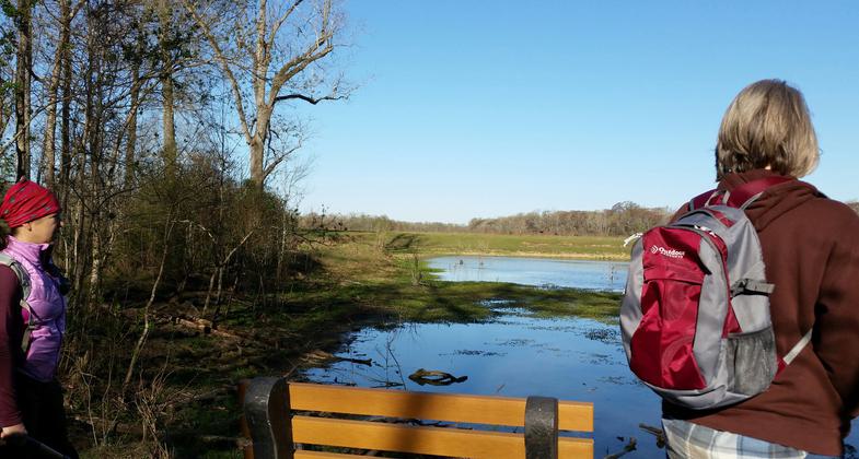 Lower Trinity Basin Master Naturalists viewing the pond at the Knobby Knees Trailhead before their 7 mile hike.