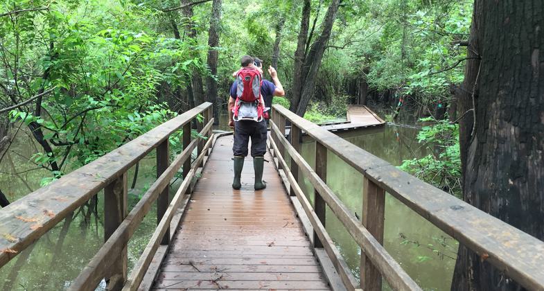 Palmer Bayou Boardwalk over Palmer Bayou