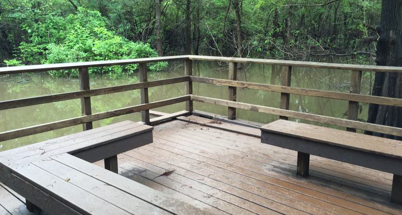 Palmer Bayou Observation Deck