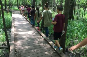 Knobby Knees Trail