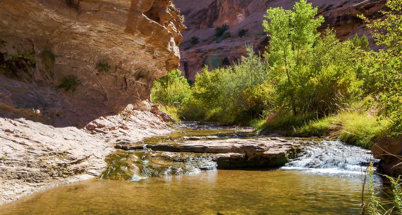Stream in Grandstaff Canyon