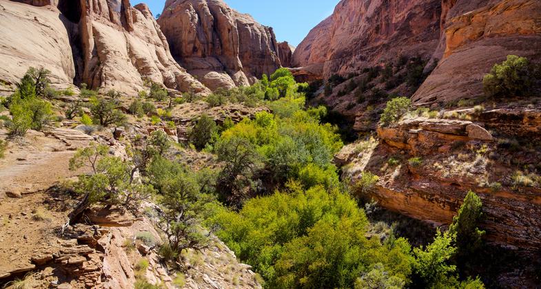 Morning Glory Natural Bridge in distance off Grandstaff Canyon Trail