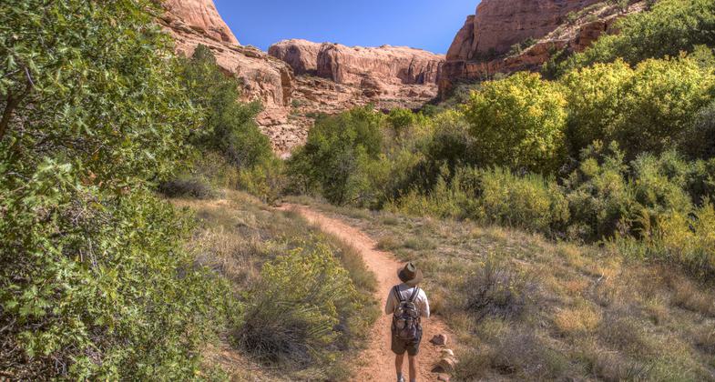 Hiker on trail