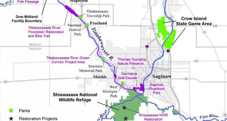 Shiawassee River