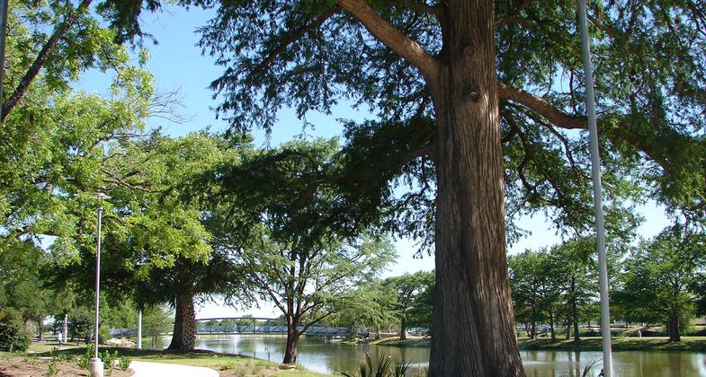 Apache Creek Greenway in Elmendorf Lake Park. Photo by Adelyn Alanis