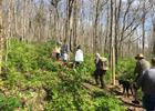 Hikers enjoy Chapman Mtn's Terry Trail in fall.