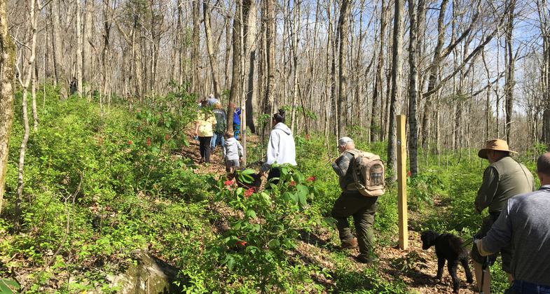 Hikers enjoy Chapman Mtn's Terry Trail in fall.