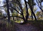 Trail and bench near rivers confluence.