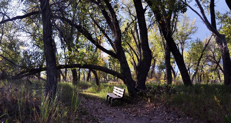 Trail and bench near rivers confluence.