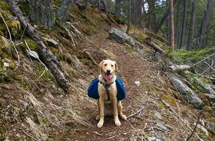 Gallatin Riverside Trail