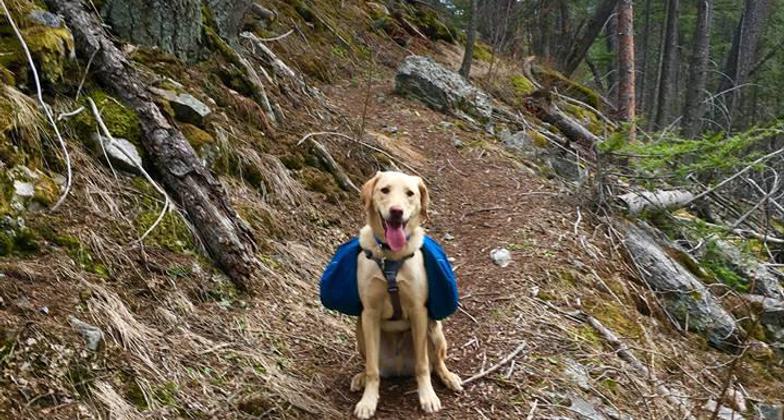 Finner on the trail. Photo by David Tucker.