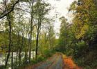 Greenbrier River Trail Fall 2020. Photo by Greenbrier River Trail Foundation Inc