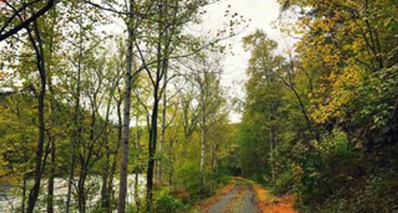 Greenbrier River Trail Fall 2020. Photo by Greenbrier River Trail Foundation Inc