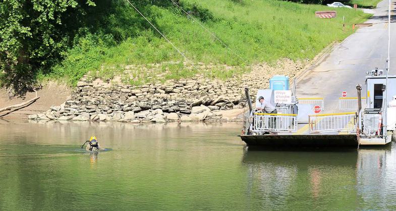 Mussel relocation