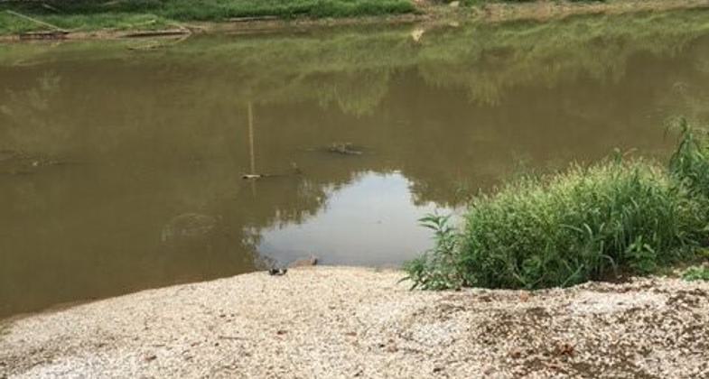 Green River at Houchin Ferry launch site