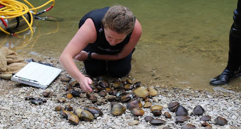 Mussel sorting