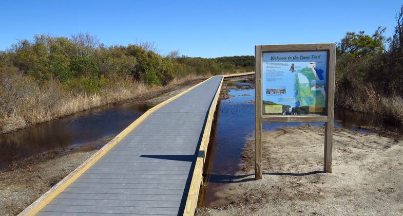 Dune Trail. Photo by U.S. Fish and Wildlife Service. Photo by USFWS