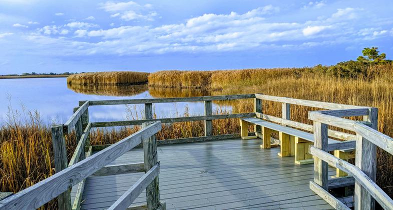 Kuralt Trail. Photo by U.S. Fish and Wildlife Service.
