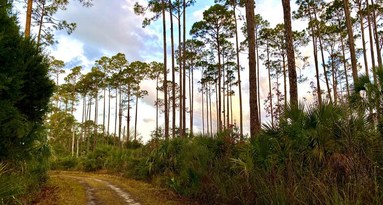 Seven Mile Loop Trail at Sunrise. Photo by Heather Nagy