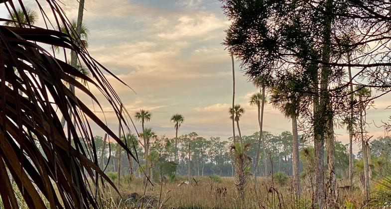 Seven Mile Loop Trailhead