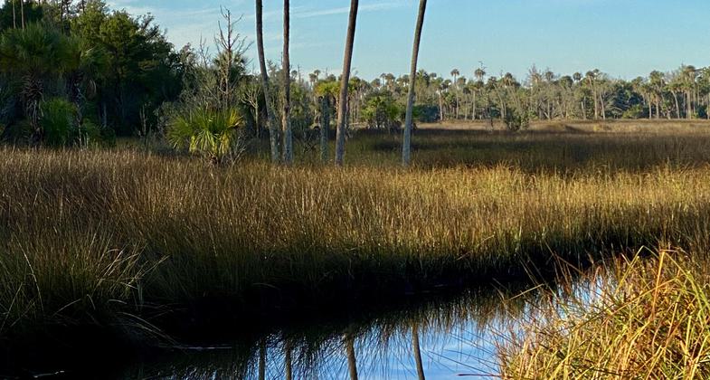 Natures artwork. Photo by Heather Nagy.