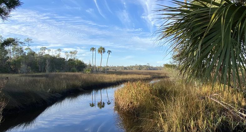 Seven Mile Loop Trail at Sunrise. Photo by Heather Nagy