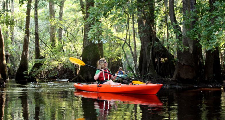 An excursion on the SC Revolutionary Rivers Trail. Photo by Holly Beaumier