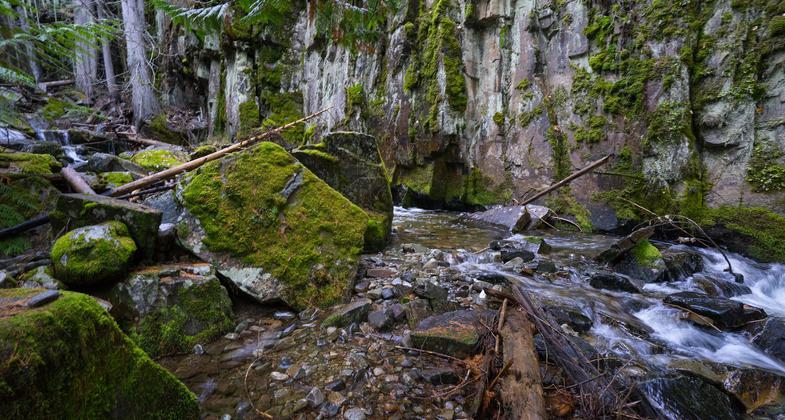 Little North Fork Falls. Photo by Troy Smith.