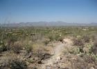 Tucson from the Pima Canyon Trail near the trailhead. Photo by Djmascheck.