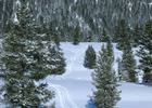 Snowshoe walk at Refuge Point. Photo by USFS-Custer Gallatin NF.