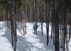Snowshoeing on Silver Run National Recreation Trail #102. Photo by Nikki Yancey.