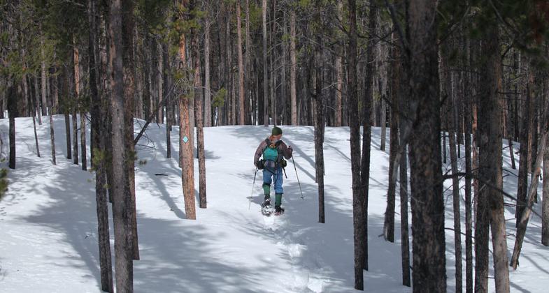Snowshoeing on Silver Run National Recreation Trail #102. Photo by Nikki Yancey.