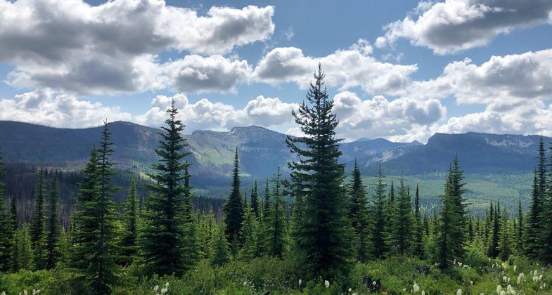 Skookum Butte Trail on the Missoula Ranger District. Photo by USFS- Missoula Ranger Dist.