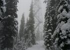 Quartz Mountain Fire Lookout in Winter. Photo by USFS.