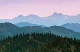 Trout Creek Loop