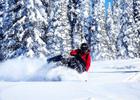 Snowmobilers enjoying fresh snow. Photo by Allyson Orange.