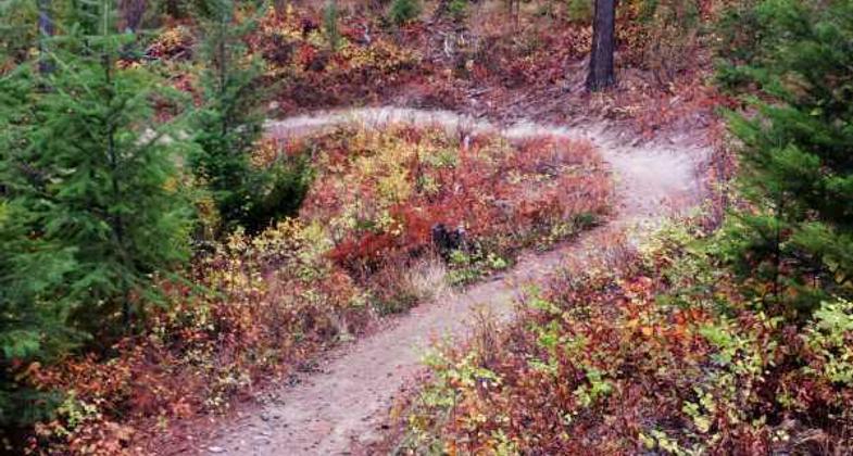Switchbacks up to the overlook. Photo by Singletracks/Kenneth&Deborah.