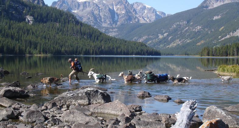 Goatpacking hiking trip. Photo by Beth Shumate.